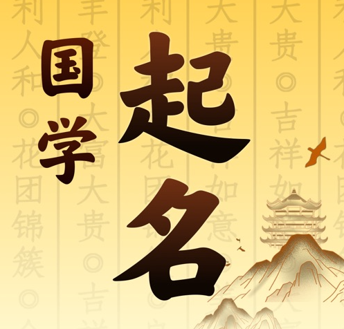 全南国学起名 人工起名一对一